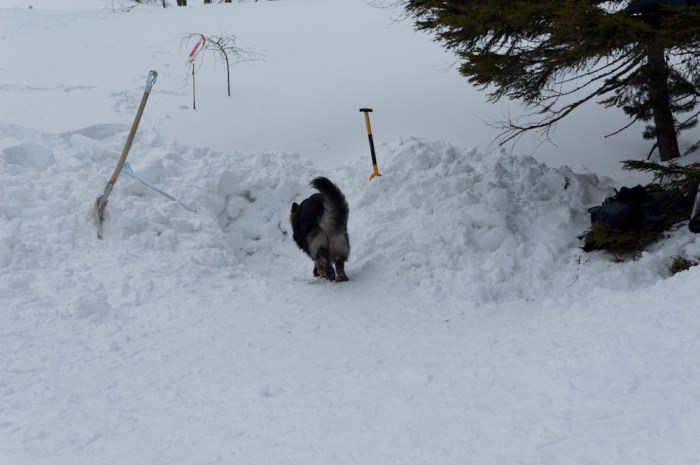 Lawinetraining (7).jpg